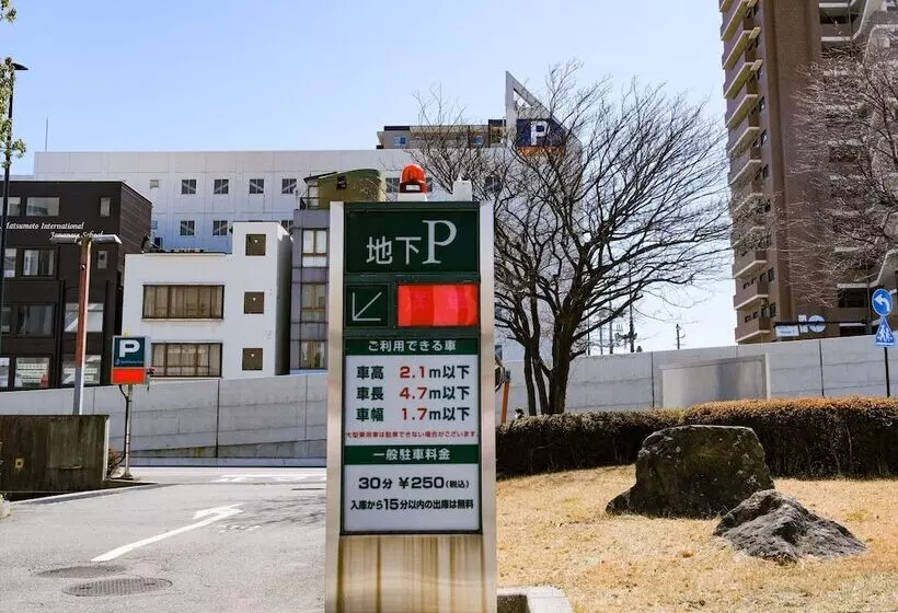 Отель Buena Vista