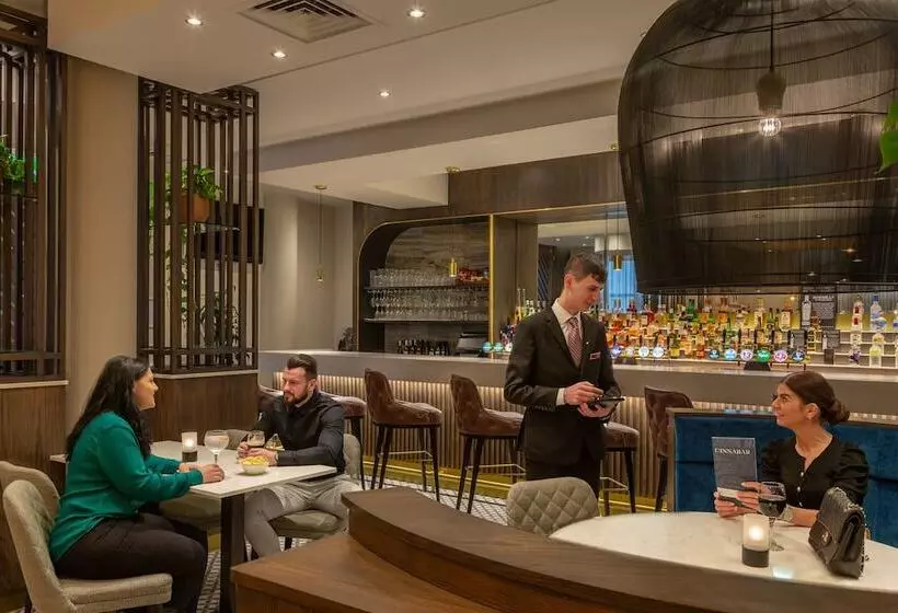 酒店 Crowne Plaza Dublin Airport, An Ihg