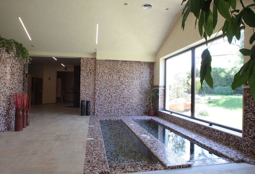 Palace Hotel San Michele