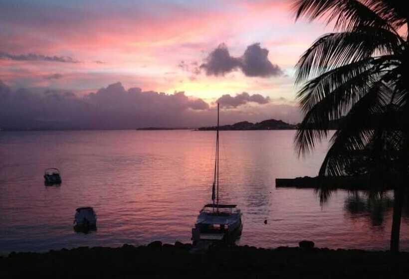 Résidence Les Yuccas By Weekome