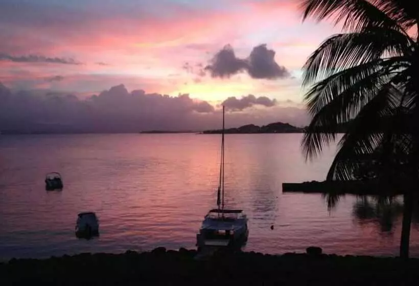 Résidence Les Yuccas By Weekome