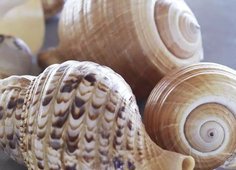 ホテル Diniview Villas