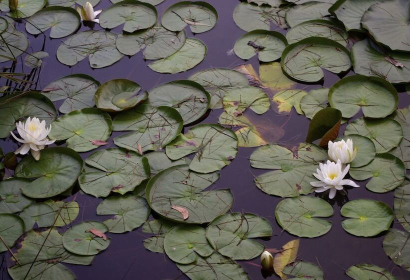 酒店 Jackson Ranch By Bannisters