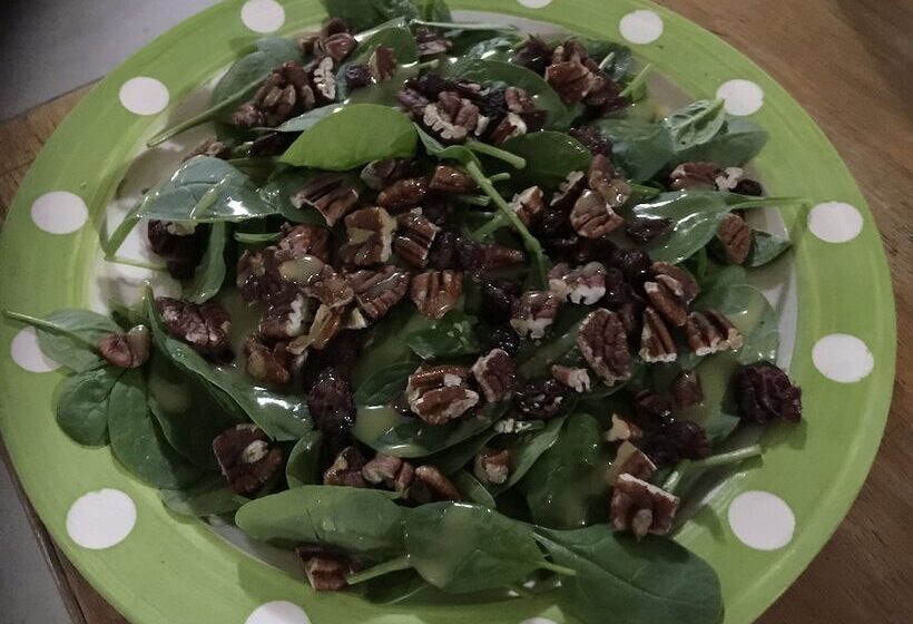 Warrumbungles Mountain Motel