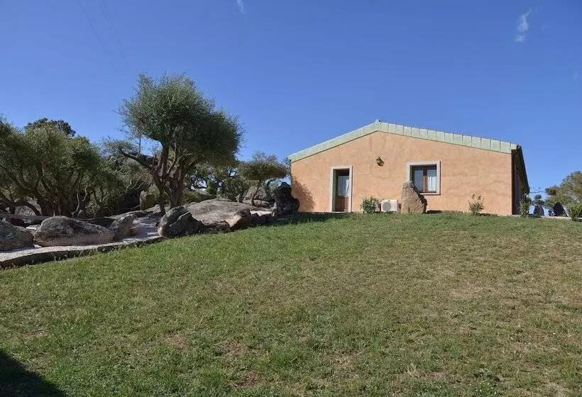 B&b Chicchiritanos