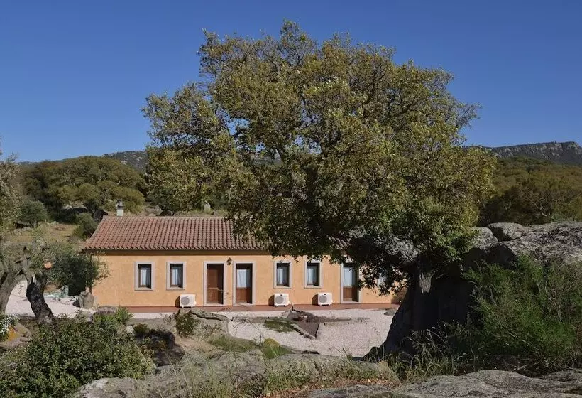 B&b Chicchiritanos
