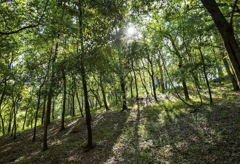 Hotelli Hu Montescudaio Village