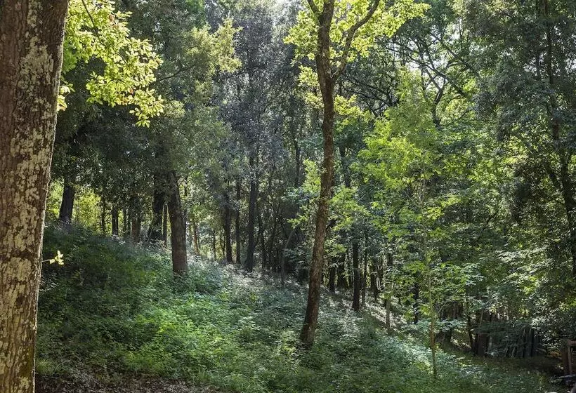 Hotelli Hu Montescudaio Village