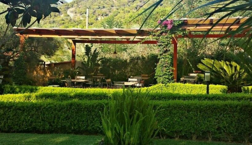 تختخواب و صبحانه La Capannina Cilento Num 11