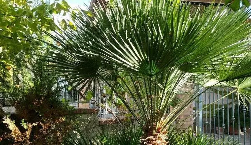 Aamiaismajoitus (B&B) La Capannina Cilento Num 11