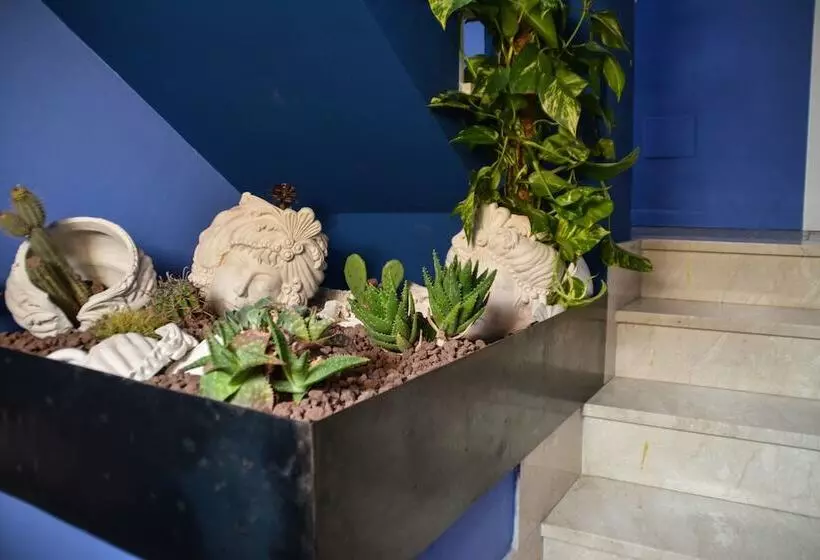 ベッドアンドブレックファースト Ziolì