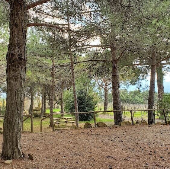 בית מלון כפרי Agriturismo Il Cocco