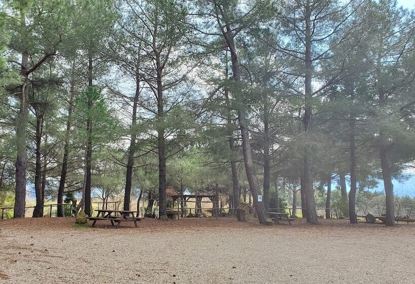 בית מלון כפרי Agriturismo Il Cocco