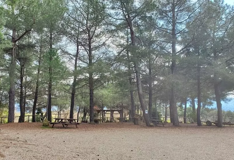 田舎風ホテル Agriturismo Il Cocco