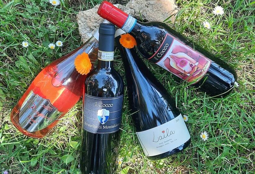 בית מלון כפרי Agriturismo Il Cocco