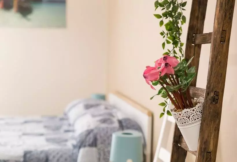 پانسیون Pura Vida Barocca