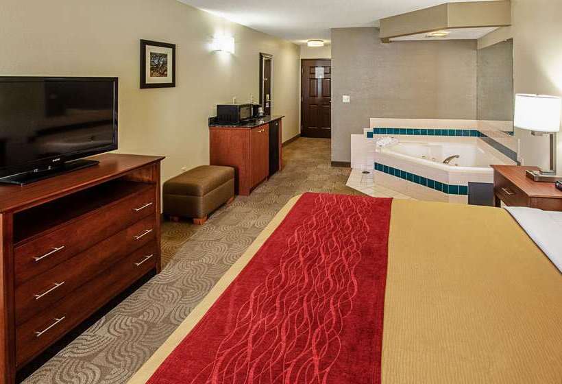 בית מלון כפרי Comfort Inn & Suites Santee I95