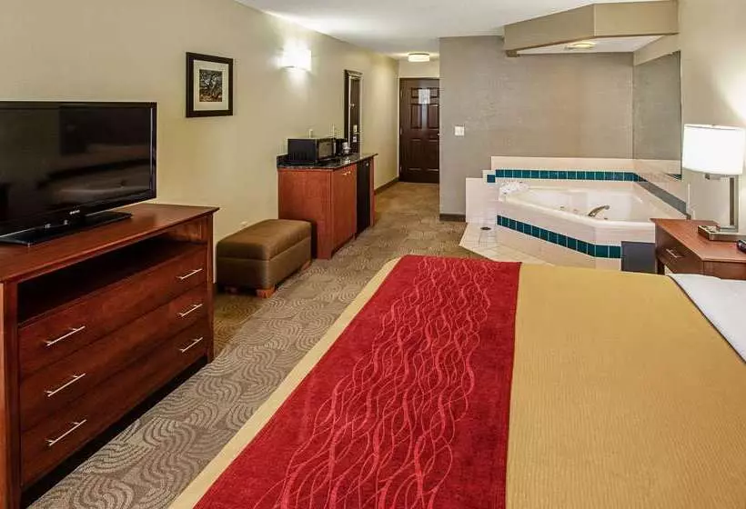酒店 Comfort Inn & Suites Santee I95