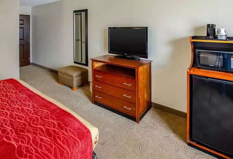 酒店 Comfort Inn & Suites Santee I95