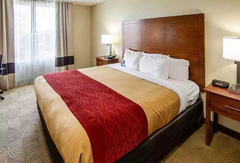 酒店 Comfort Inn & Suites Santee I95