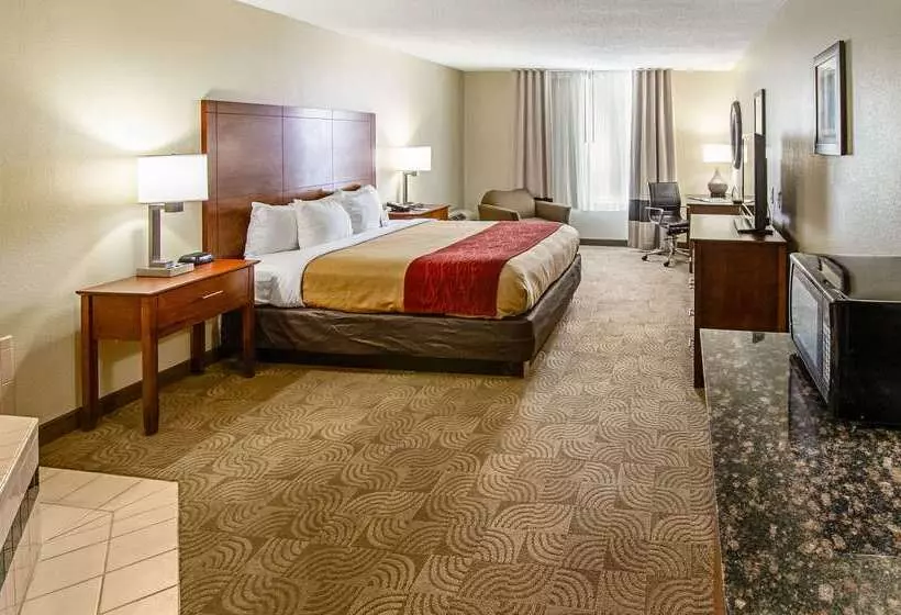 酒店 Comfort Inn & Suites Santee I95