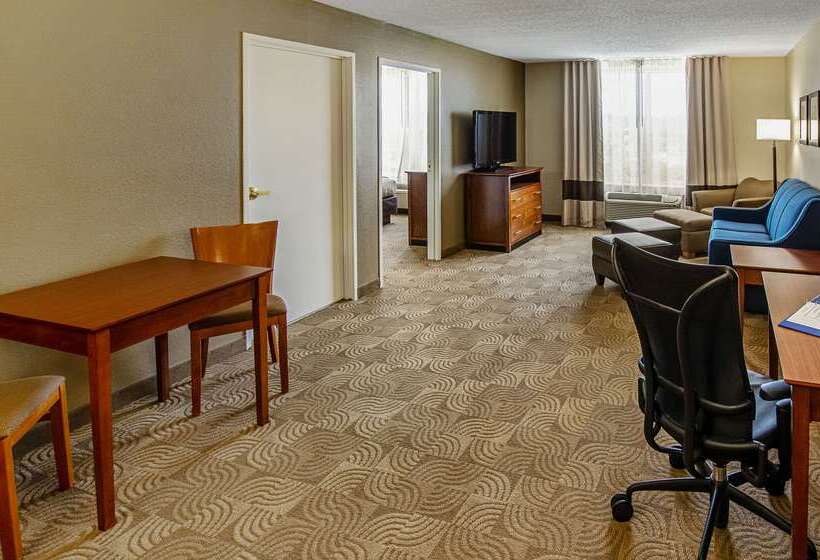 בית מלון כפרי Comfort Inn & Suites Santee I95