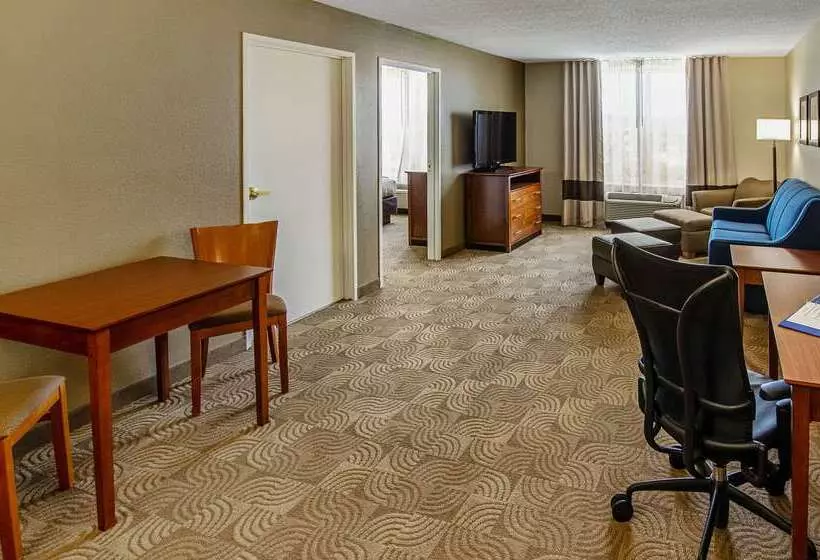 酒店 Comfort Inn & Suites Santee I95