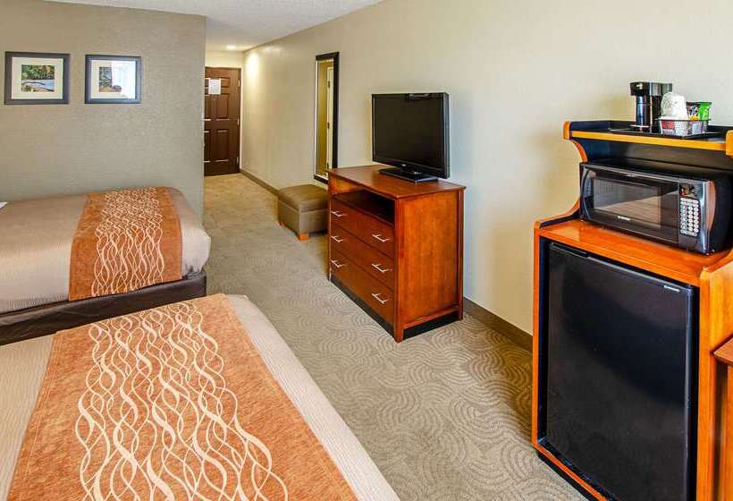 בית מלון כפרי Comfort Inn & Suites Santee I95