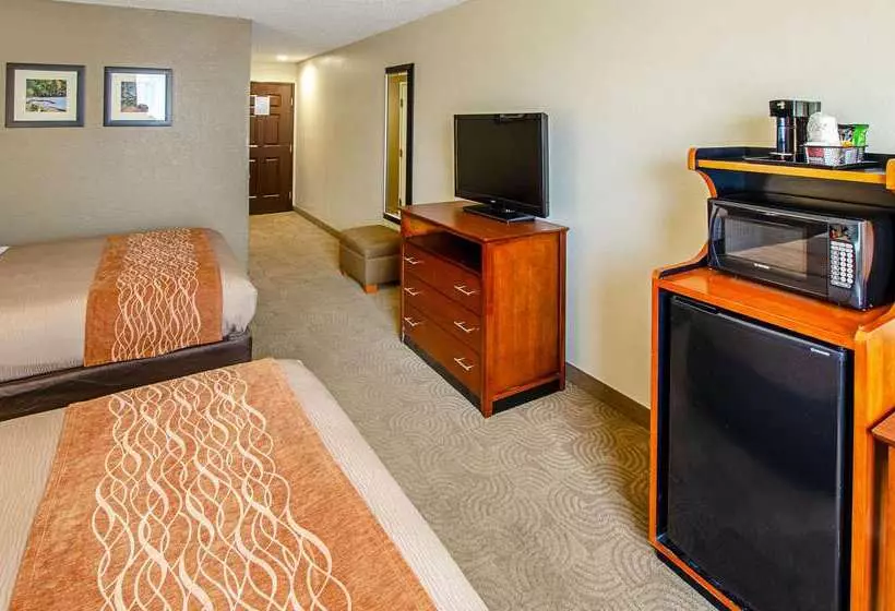 酒店 Comfort Inn & Suites Santee I95