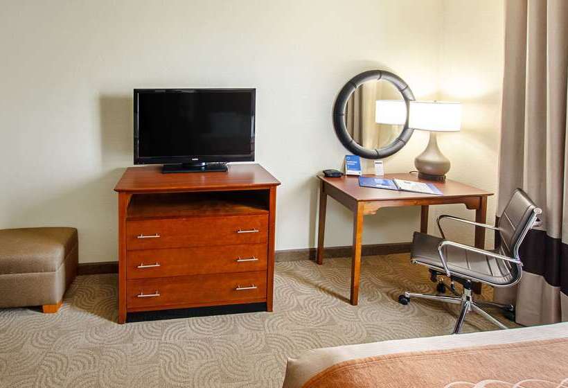 בית מלון כפרי Comfort Inn & Suites Santee I95