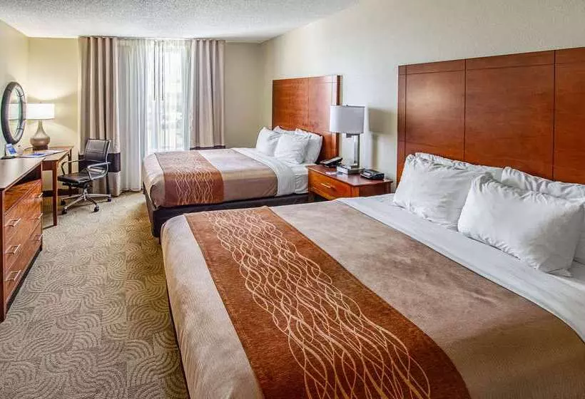 酒店 Comfort Inn & Suites Santee I95