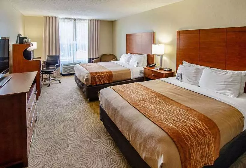 酒店 Comfort Inn & Suites Santee I95