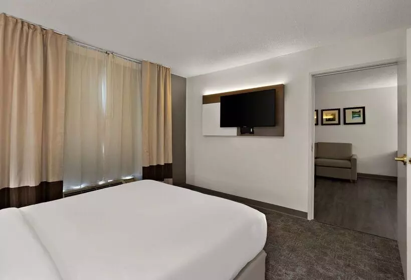 酒店 Comfort Inn & Suites Santee I95