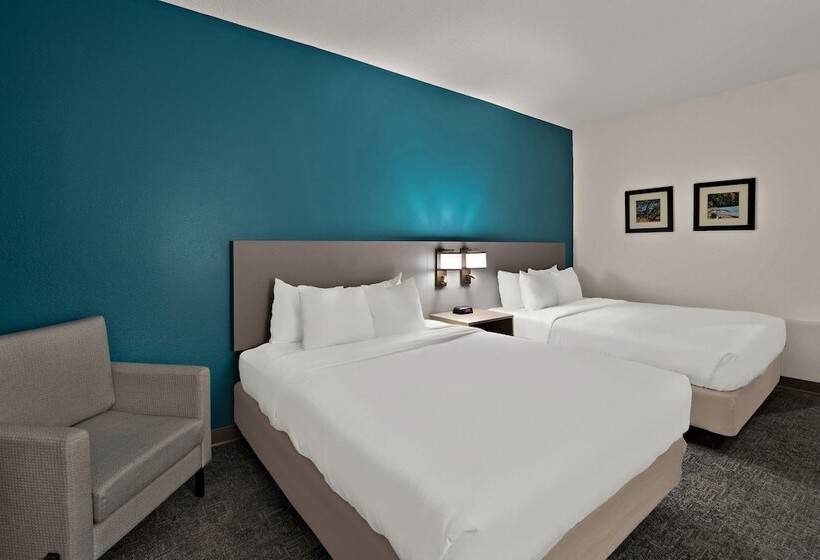 בית מלון כפרי Comfort Inn & Suites Santee I95