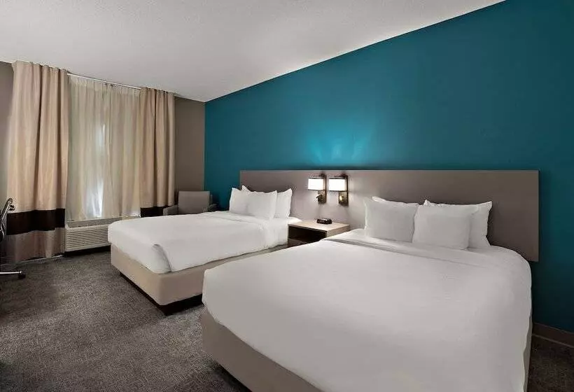 酒店 Comfort Inn & Suites Santee I95