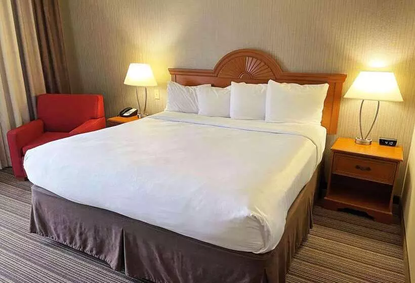 בית מלון כפרי Country Inn & Suites By Radisson, Findlay, Oh