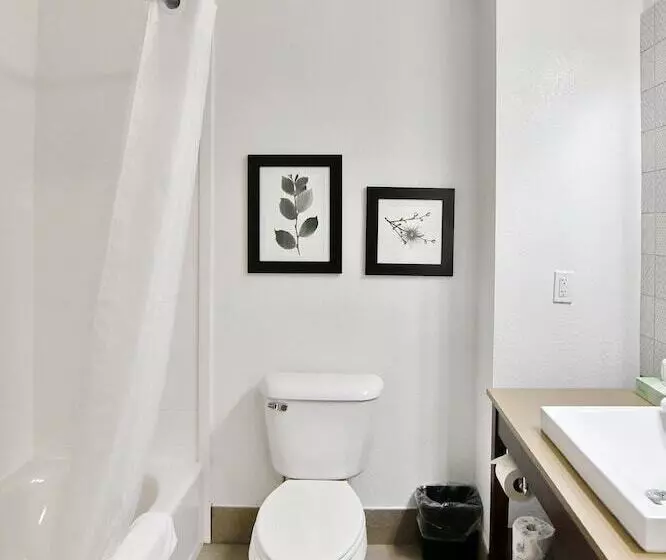 Hotel Country Inn & Suites By Radisson, Mount Morris, Ny