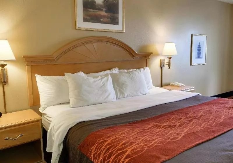 ホテル Quality Inn & Suites Malvern