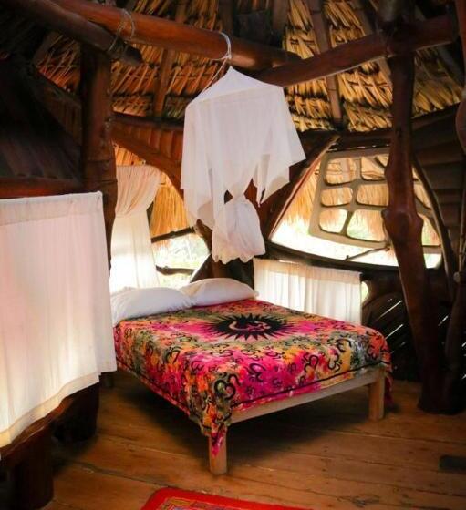 فندق La Quinta Orquídea