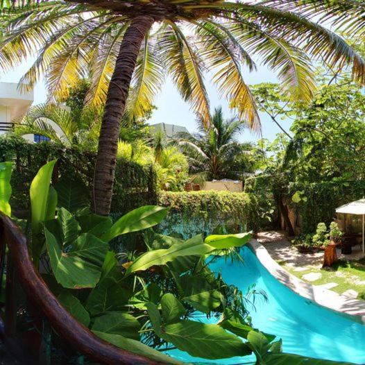 فندق La Quinta Orquídea