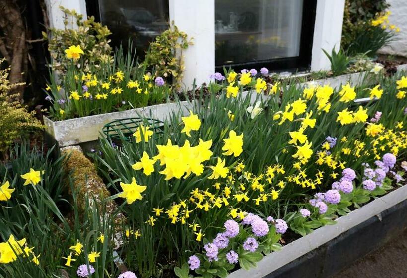 Pansiyon Rockhill Guest House