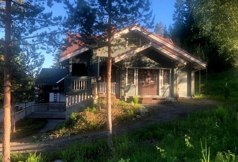 פנסיון Tahkonhovi Golden Chalet