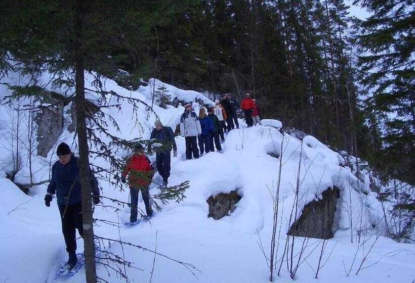פנסיון Tahkonhovi Golden Chalet
