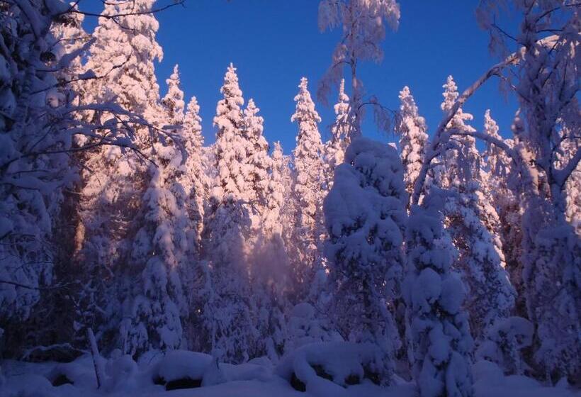 פנסיון Tahkonhovi Golden Chalet