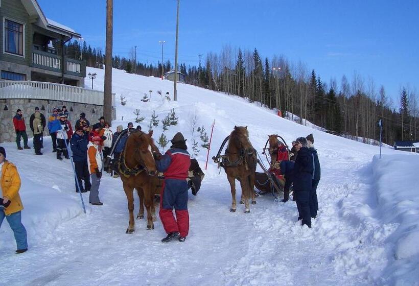 פנסיון Tahkonhovi Golden Chalet