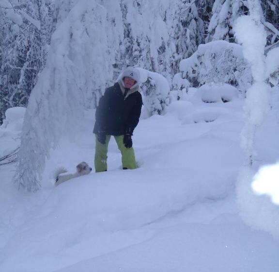 פנסיון Tahkonhovi Golden Chalet
