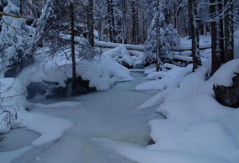 פנסיון Tahkonhovi Golden Chalet