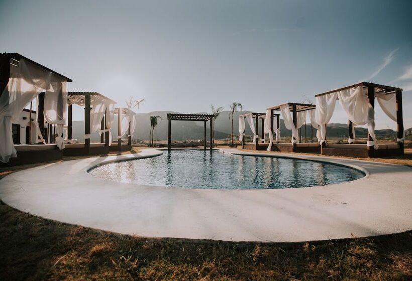 فندق Hacienda Viga 2020