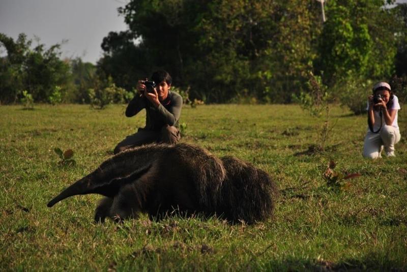 בית מלון כפרי Pousada Aguape