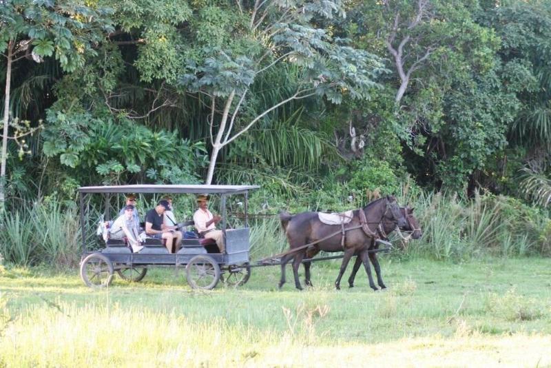 בית מלון כפרי Pousada Aguape